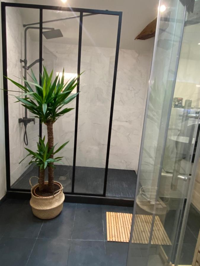 Charmant Appartement Avec Spa Fontenay-le-Comte Esterno foto